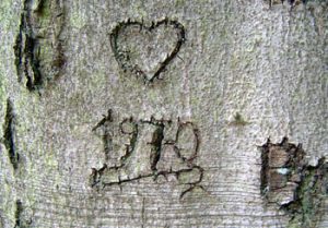 1970 schnitzte man Liebesbeweise noch anonym und fernab des Dorfes: Baum im Lindholz. 