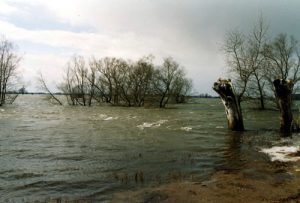  Frühjahrshochwasser der Havel bei Abbendorf, 2006 