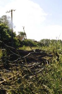 Gefahr in Eichberge: ein umgestürzter Baum versperrt den Weg. 