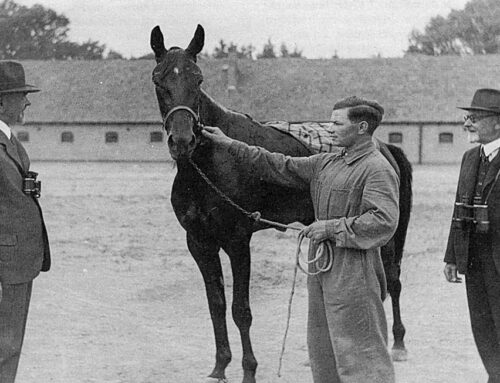Karl Knauer NSDAP-Mitglied