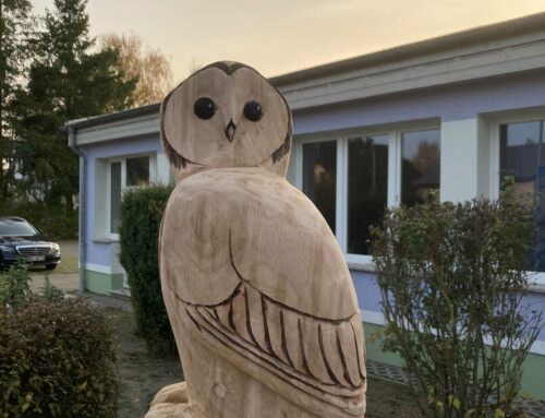 Ein Waldkauz sitzt vor der Schule