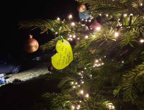 Adventssingen im Park und ein dankbarer Blick zurück auf 2025