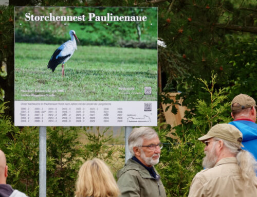 Infotafel für den Storch