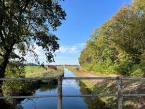 Blick von Knauers Brücke